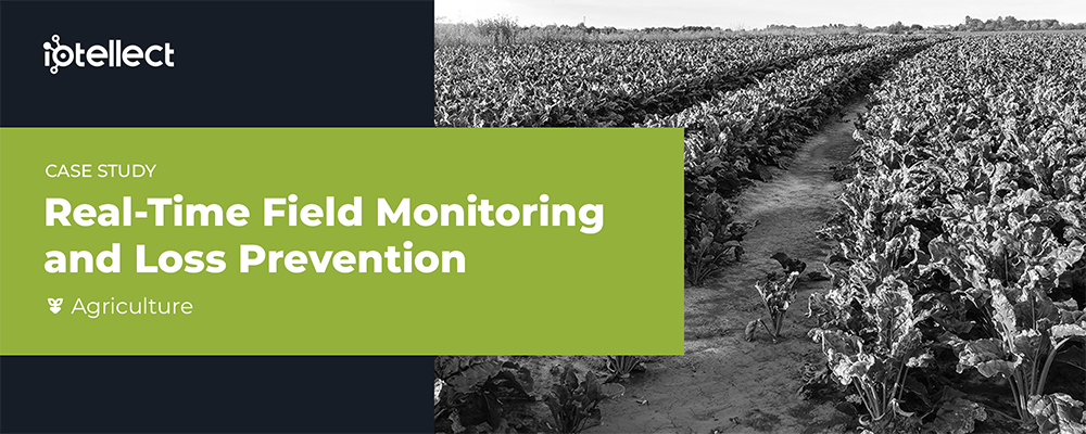 Monitoring Beetroot Growth And Production