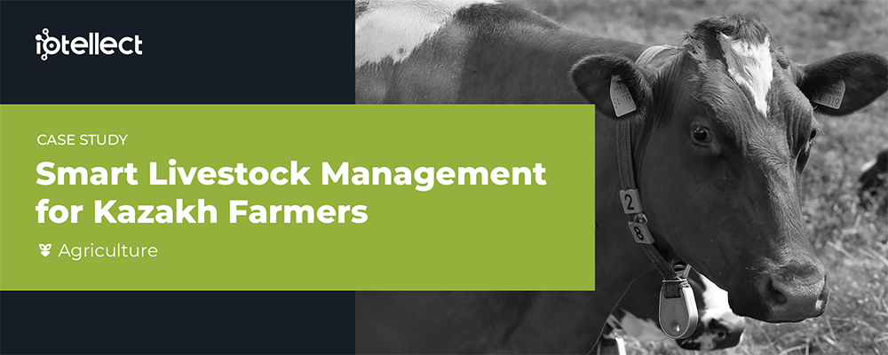 Smart Livestock Management for Kazakh Farmers
